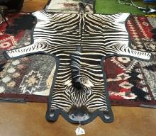 Brand New AAA  African Zebra Rug Taxidermy Mount