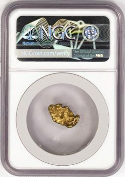 3.62 Gram Yukon Gold Nugget NGC Graded