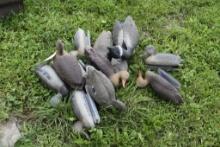 Large Group of Decoy Ducks