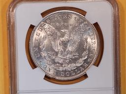 NGC 1903 Morgan Dollar in Mint State 64