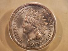 ANACS 1902 Indian Head Cent in Brilliant Uncirculated RED MS-60 - Details