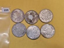 Six Morgan and Peace silver Dollars