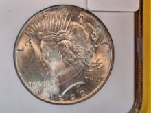 NGC 1922 Peace Dollar in Mint State 64