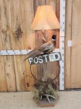 Awesome Ringneck Pheasant Floor Lamp Taxidermy