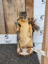 Backpacking Squirrel Full Body Taxidermy Mount