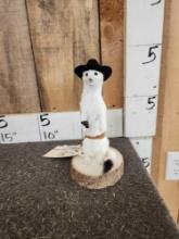 Sheriff Weasel Taxidermy