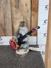 Rock & Roll Squirrel Playing Guitar Taxidermy