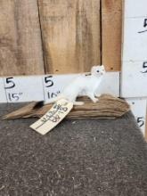 Weasel Or Ermine Full Body Taxidermy Mount