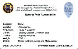 7.37 ctw Pear Aquamarine Parcel