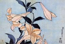 Hokusai - Lilies