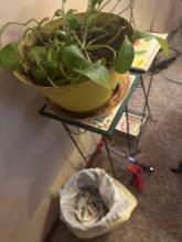Two plant stands a real plant a extra hand, grabber, and small trashcan