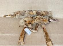 NATIVE AMERICAN BLACKFOOT BOW, ARROW AND QUIVER WRAPPED IN FUR AND SNAKESKIN