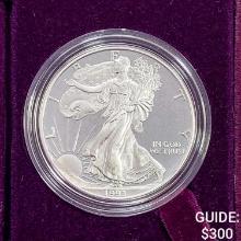 1993-P Silver Eagle