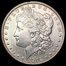 1902 Morgan Silver Dollar CHOICE AU