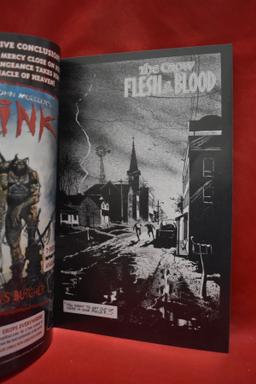 THE CROW: FLESH & BLOOD #1 | J O'BARR - KITCHEN SINK COMICS