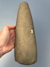 MASSIVE 10 1/2" Poll Celt, Damage on One Side Noted, Found along White's Creek, Sussex Co., DE