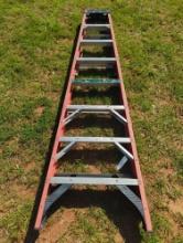 Werner insulated step ladder