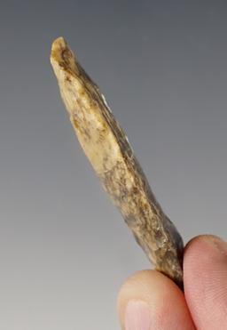 1 15/16" Duncan with an anciently salvaged tip that appears to be an ancient impact fracture.