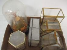 Vintage Taxidermy Butterfly Cloche, Capiz Shell Trinket Boxes, Glass and Brass