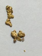 Gold Nuggets Alaskan Yellow Top End 20 Kt+ .091 Grams