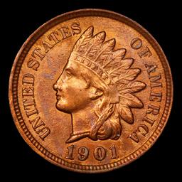 1901 Indian Cent 1c Grades Select Unc RD