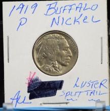 1919 Buffalo Nickel AU Luster