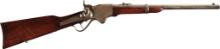 Spencer-Burnside 1865 Carbine with Colorado Territory Marking