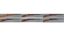 Six Bolt Action Rimfire Rifles