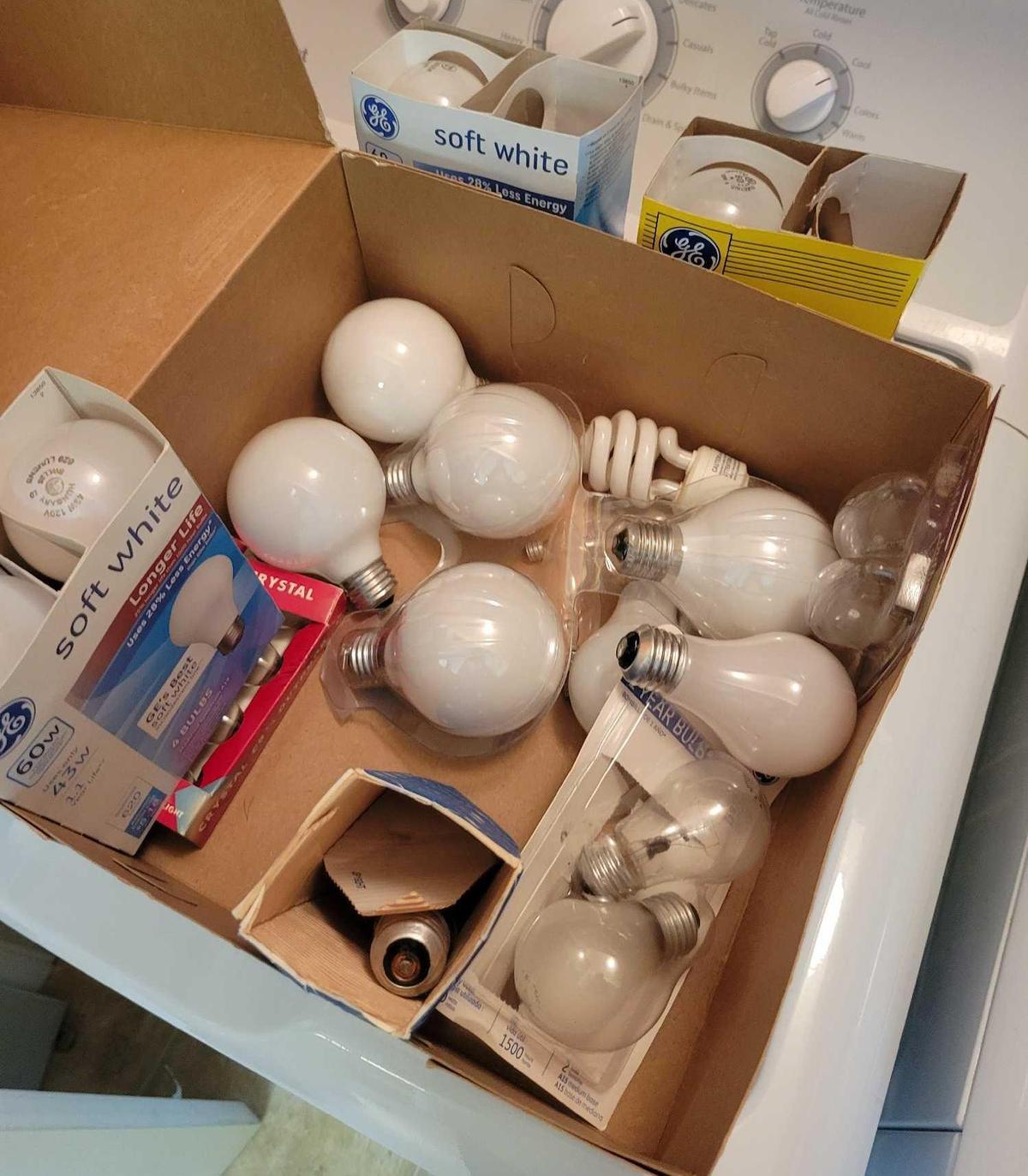 Assorted Light Bulbs $1 STS