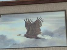 Framed Print of an Eagle Soaring Above the Clouds, Approximate Dimensions - 19" x 14", What You See