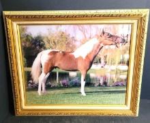 Vintage Framed Picture of a Horse $5 STS