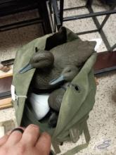Bag of Duck Decoys