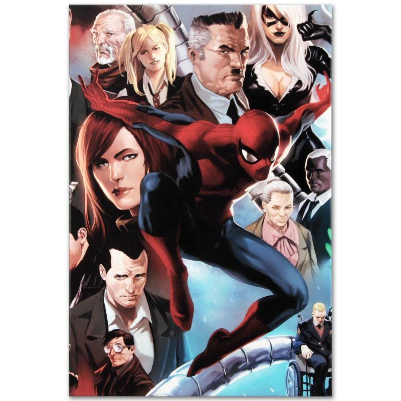 Amazing Spider-Man #645 by Marvel Comics