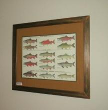 Salmon, Char Grayling Framed Print