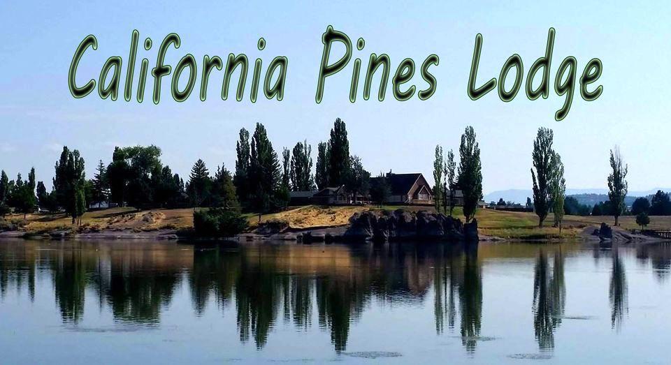 Build Your Sanctuary in the Peaceful Pine Woods of Modoc County, California!