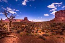 1.26 Acre Parcel in Historic and Stunning Navajo County, Arizona!