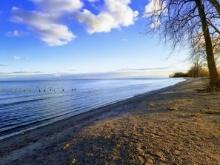 Unlock the Wonders of Great Lake Erie in Monroe County, Michigan!